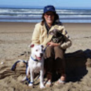 Meet your Posher, Jo